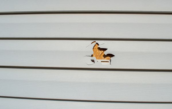 Siding Hole Patching in Sterling